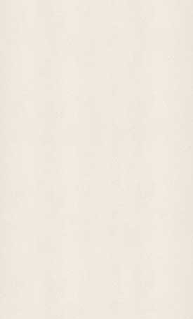 9141 Ice Snow Full Slab