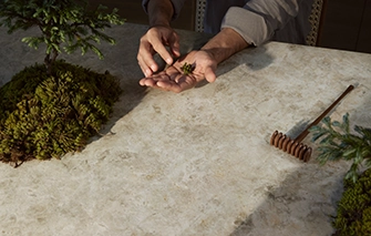 Caesarstone Porcelain 542 Mosstone