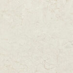 545_Fossillia mobile slab