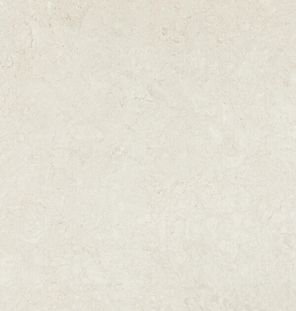 545_Fossillia_slab view