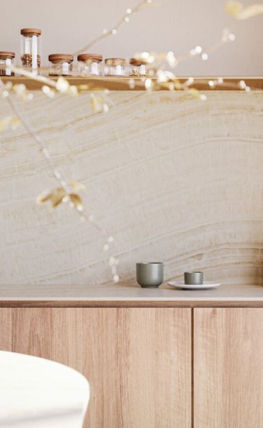 509-ONYXA cladding render