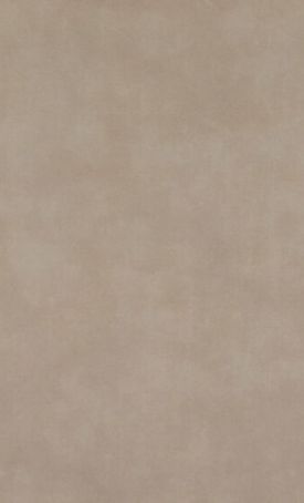 Caesarstone Creamy Leather quartz slab