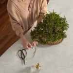 image of a woman taking care of a green plant